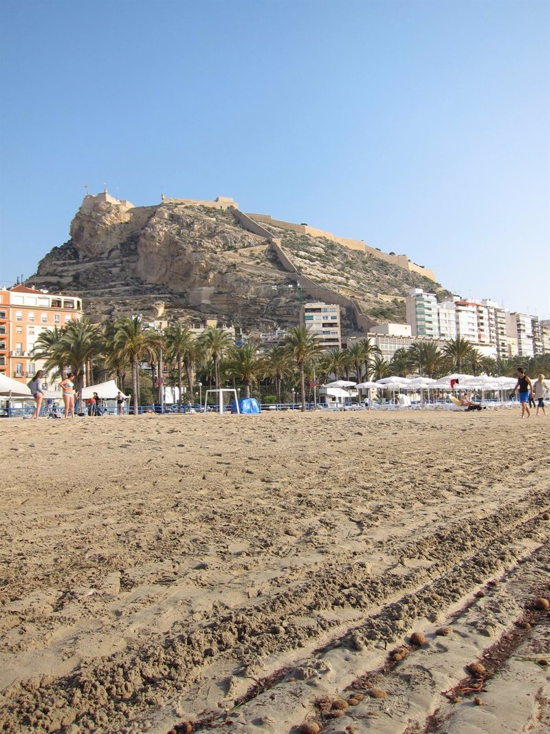 HABITANTES ALICANTE habitantes alicante: