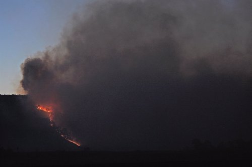 Incendio forestal