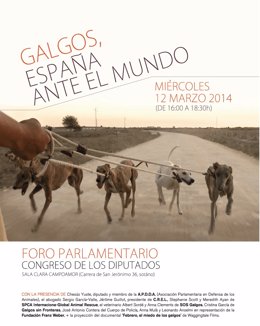 Jornadas sobre Galgos en España