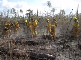 Foto: Controlado el incendio de la última semana en el norte de Camagüey (GRANMA)