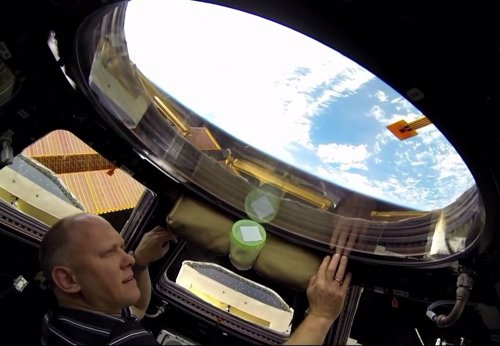 Astronauta a bordo de la Estación Espacial