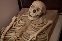Foto: Descubren en México el esqueleto más antiguo de América (FLICKER/DIVESGALLAECIA)