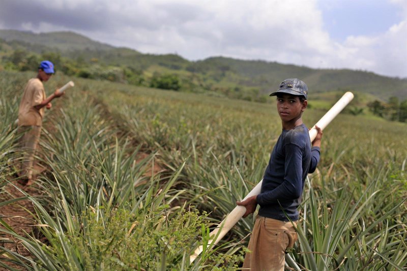 CODIGO TRABAJO REPUBLICA NICARAGUA codigo trabajo republica nicaragua: