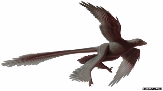 Dinosaurio de cuatro alas