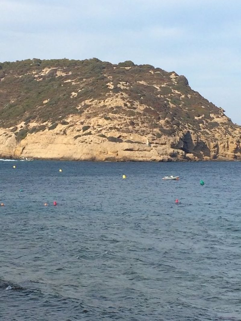 INSTRUCTOR BUCEO instructor buceo: