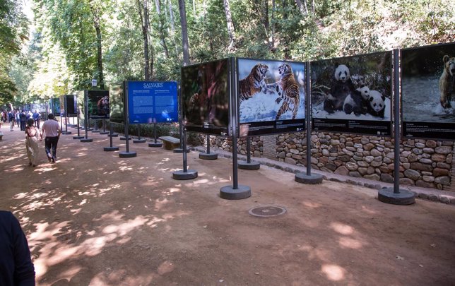 Exposición animales salvajes en el bosque de la Alhambra