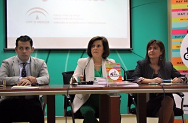 INSTITUTO JUVENTUD SEVILLA instituto juventud sevilla: