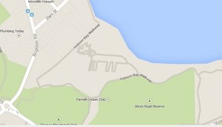 Aparece en Google Maps un misterioso gato en Auckland