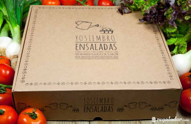 ensalada-new-1.jpg