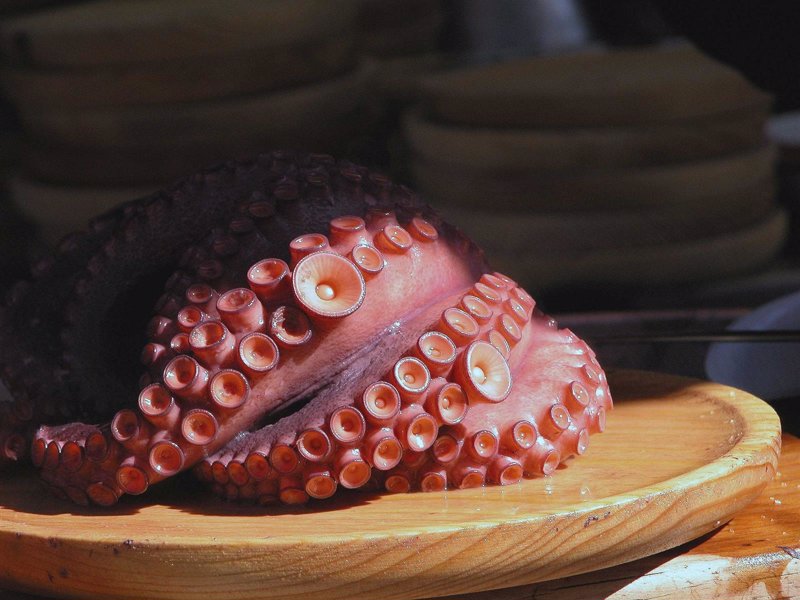 Asturias abre este lunes la campaña de pesca del pulpo desde la ... - Europa Press