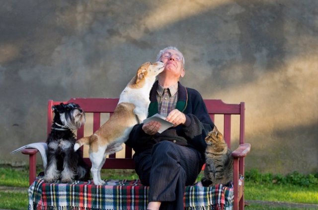 Foto: La UAB crea un posgrado sobre la relación entre las personas y los animales de compañía