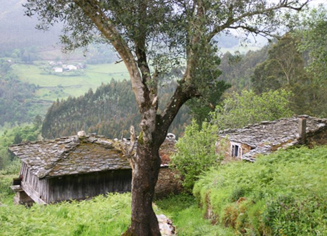 Valle de Eo