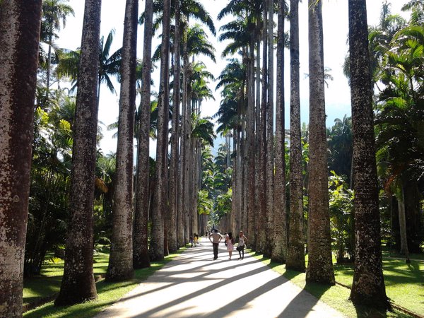 Jardín Botánico de Río