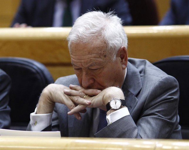 José Manuel García-Margallo en el Senado