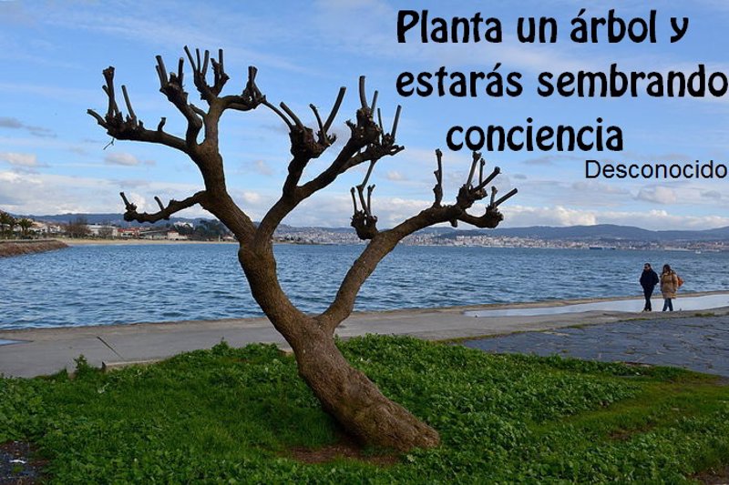 La cutis problemática el tratamiento contra los granos