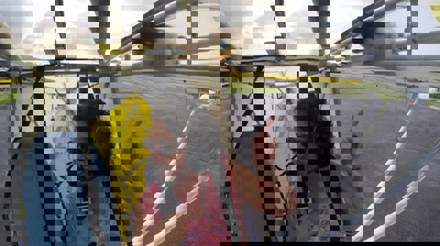 La gata ‘voladora’ (Ver VIDEO) 1 Un gato en una avioneta