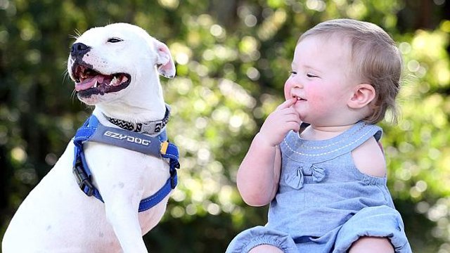 Tres patas y una niña 1 snowy y ella
