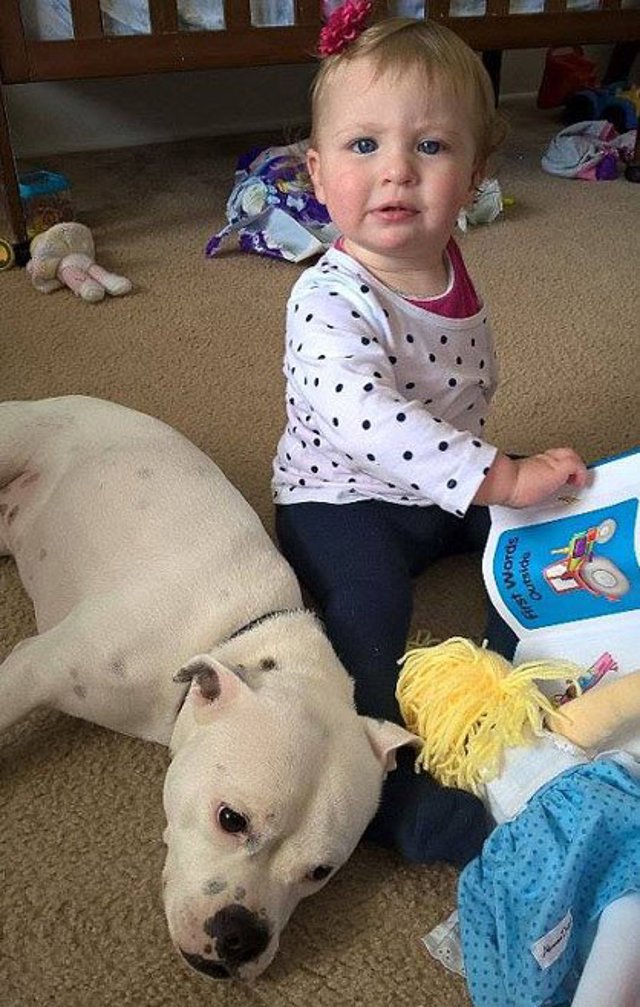 Tres patas y una niña 4 ella y snowy jugando