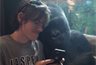 Le enseña a un gorila fotografías de otros gorilas y ésta fue su reacción