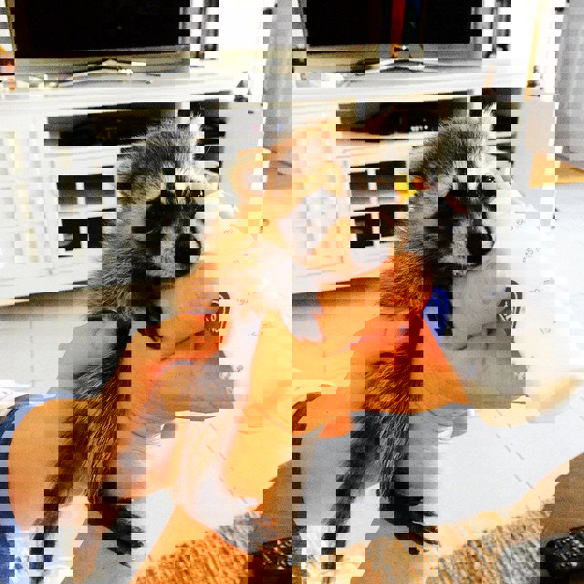 fotonoticia 20151005192934 15101458979 640