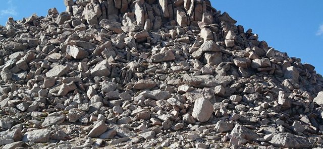 Buscando a la oveja ‘WALLY’ 2 3