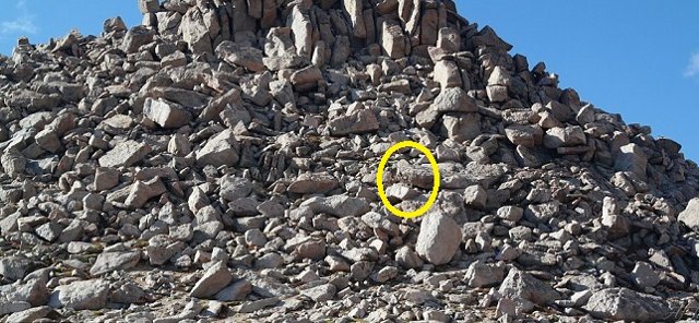 Buscando a la oveja ‘WALLY’ 3 3b