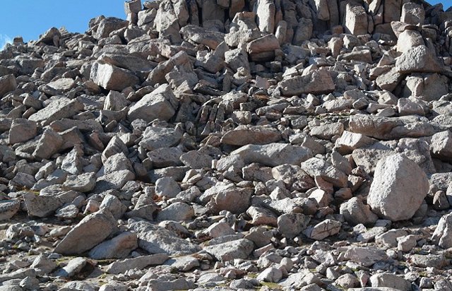 Buscando a la oveja ‘WALLY’ 4 4