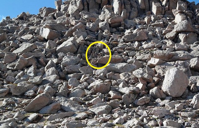 Buscando a la oveja ‘WALLY’ 5 4b