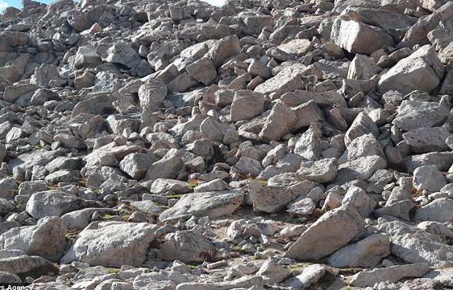 Buscando a la oveja ‘WALLY’ 6 5