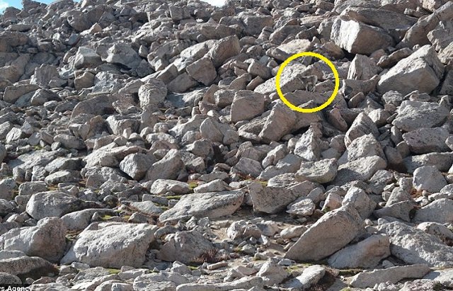 Buscando a la oveja ‘WALLY’ 7 5b