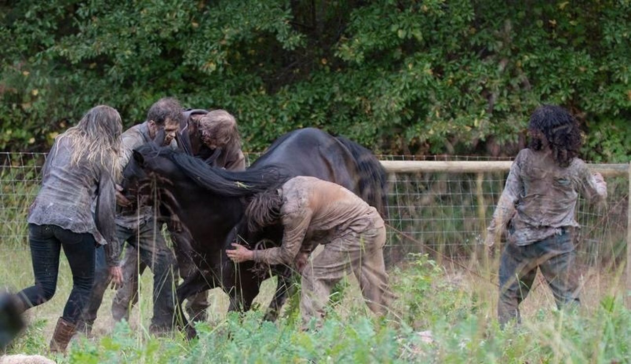 The Walking Dead Las 8 muertes más tristes de animales