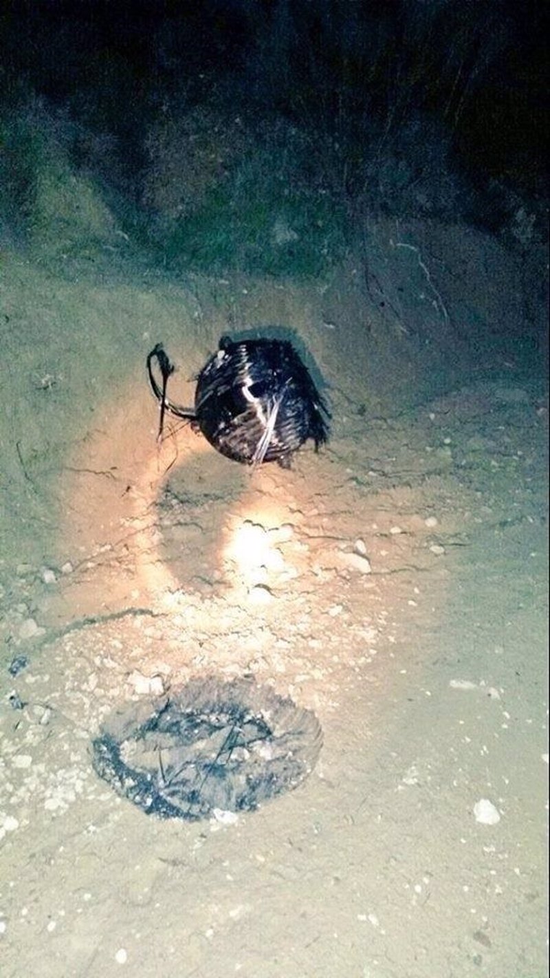 Basura espacial caerá a la Tierra mañana - fotonoticia_20151110110538_800