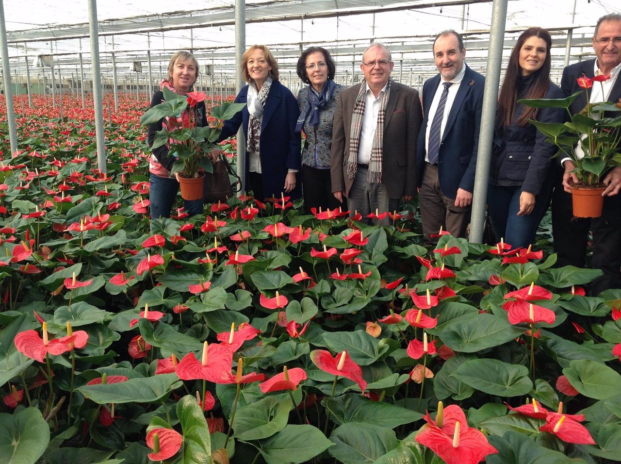 VIVERO ORTIZ vivero ortiz: