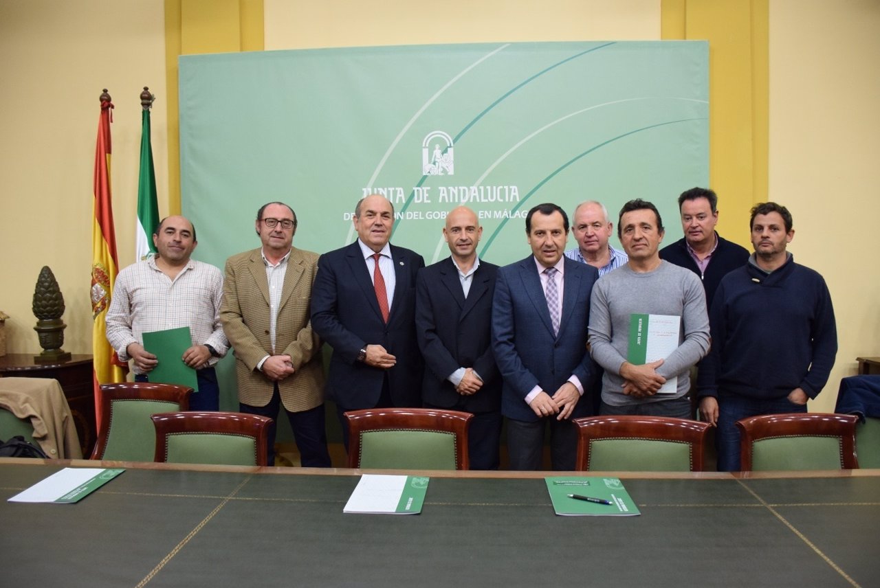 INDUSTRIA AGROALIMENTARIA EN ANDALUCIA industria agroalimentaria en andalucia: