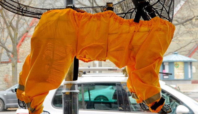 Pantalones para perros 1 dog-pants-muddy-mutts