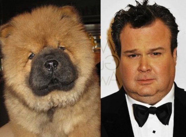 4 - ericstonestreet