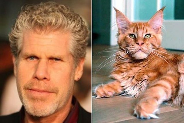 6-Ron Perlman