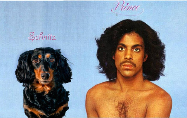 7-prince