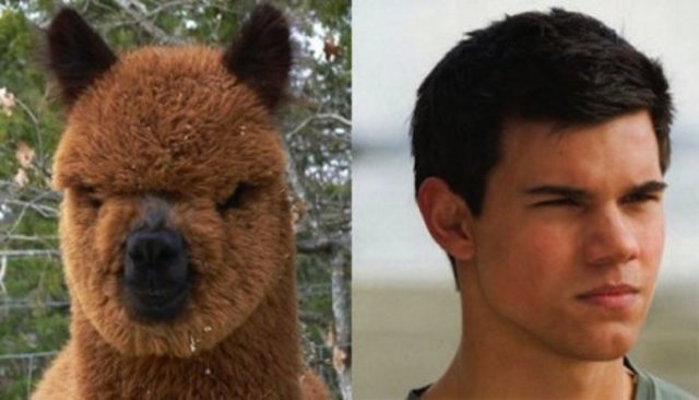 10-TAYLOR-LAUTNER-