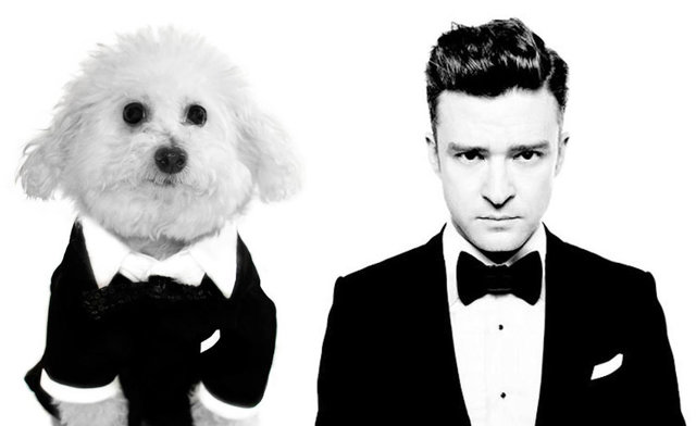 11-timberlake