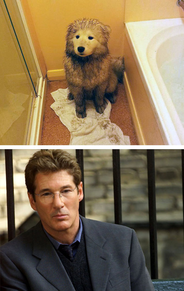 12-Richard Gere