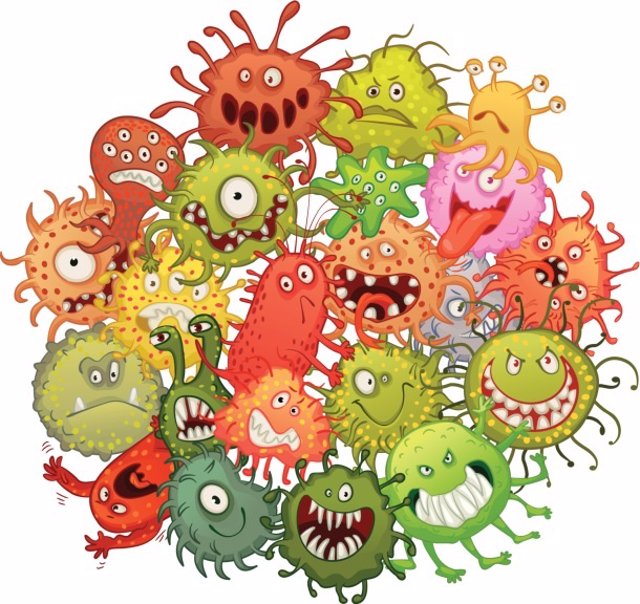 Resultado de imagen de bacterias