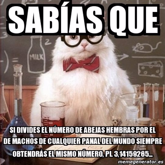 Resultado de imagen para memes dia del pi