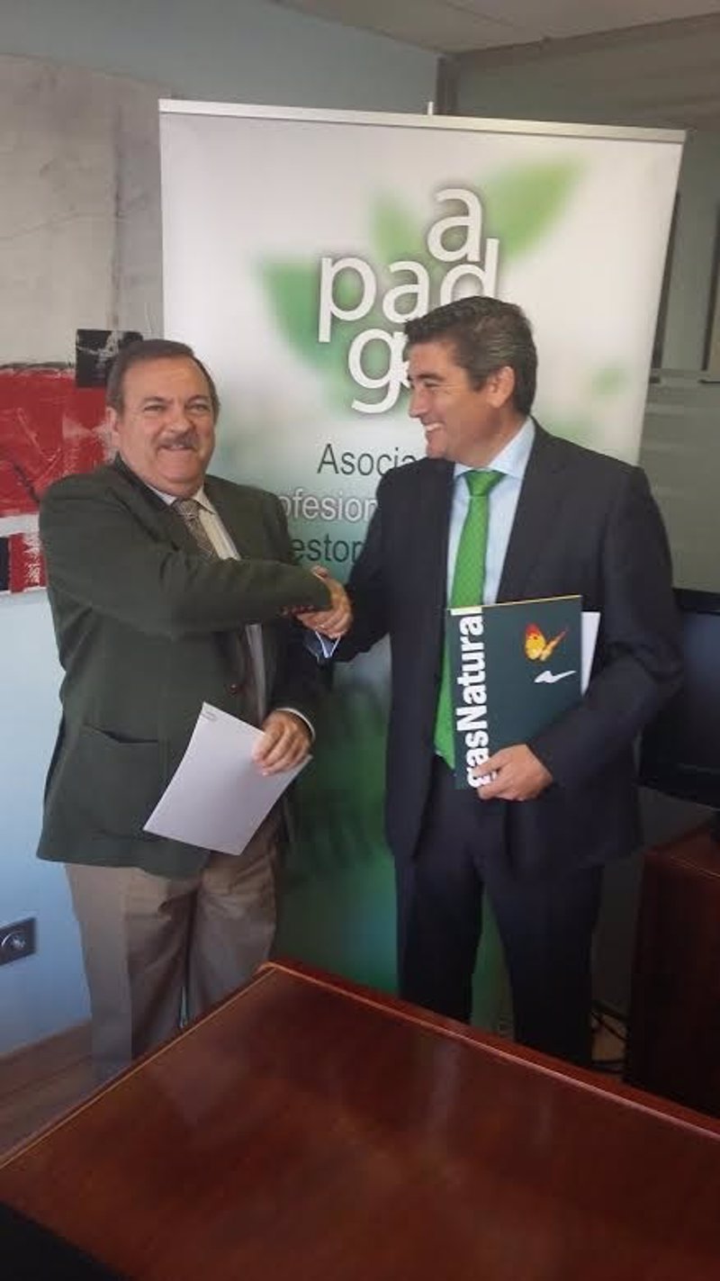 GAS NATURAL SEVILLA gas natural sevilla: