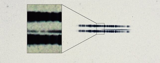 Espectro de la placa de 1917 sobre la estrella de van Maanen