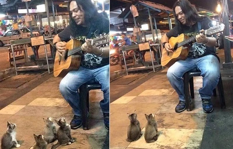 ESCUCHAR MUSICA CUARTETO escuchar musica cuarteto:
