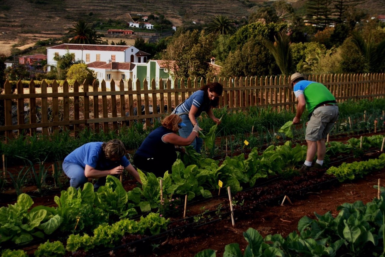 GUIA TENERIFE HOROSCOPO guia tenerife horoscopo: