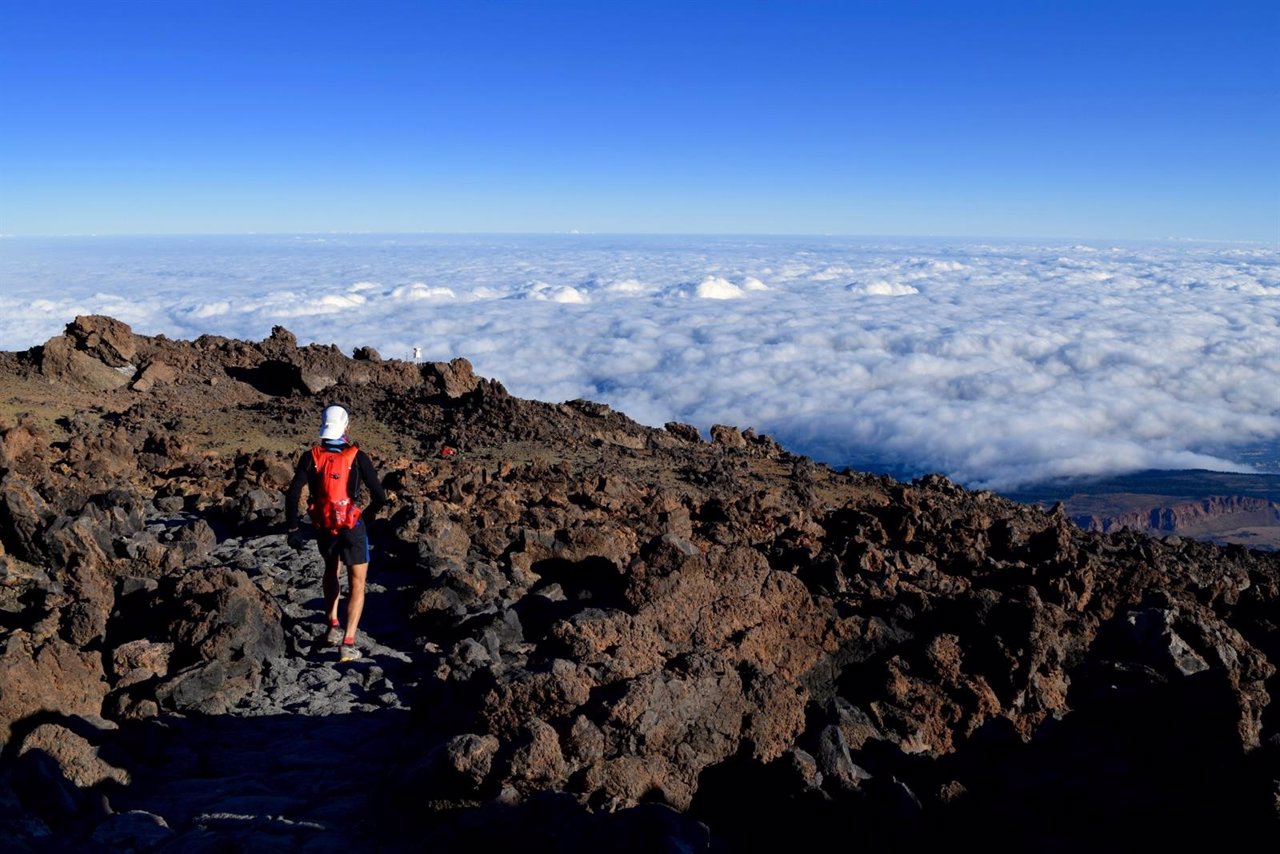 GUIA TENERIFE HOROSCOPO guia tenerife horoscopo: