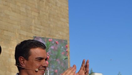Sánchez pide la dimisión de Fernández Díaz y avisa contra una Policía a sueldo de Iglesias