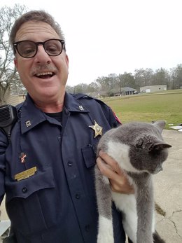 gato atrapado sheriff